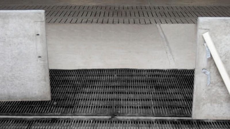 深圳独立站搭建：品牌对比与搭建要点解析