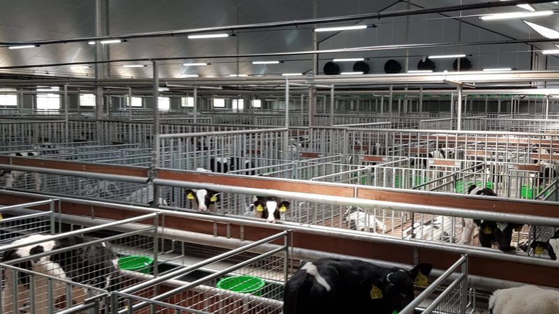 Shopify建站域名绑定：价格背后的考量因素