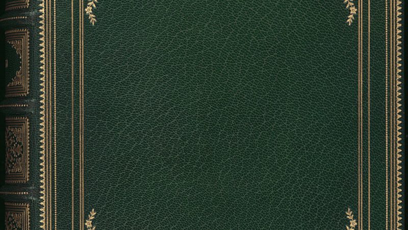 Shopify做哪个品类好做